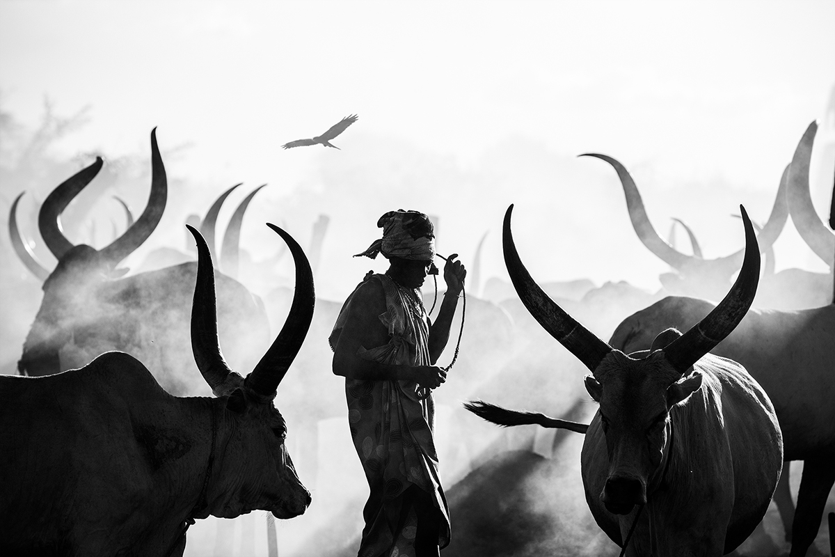 Silhouettes of Mundari