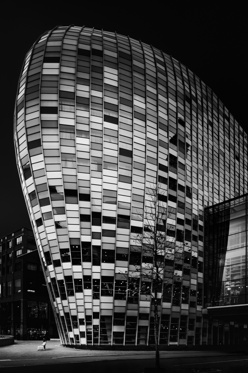Geometry of Silence