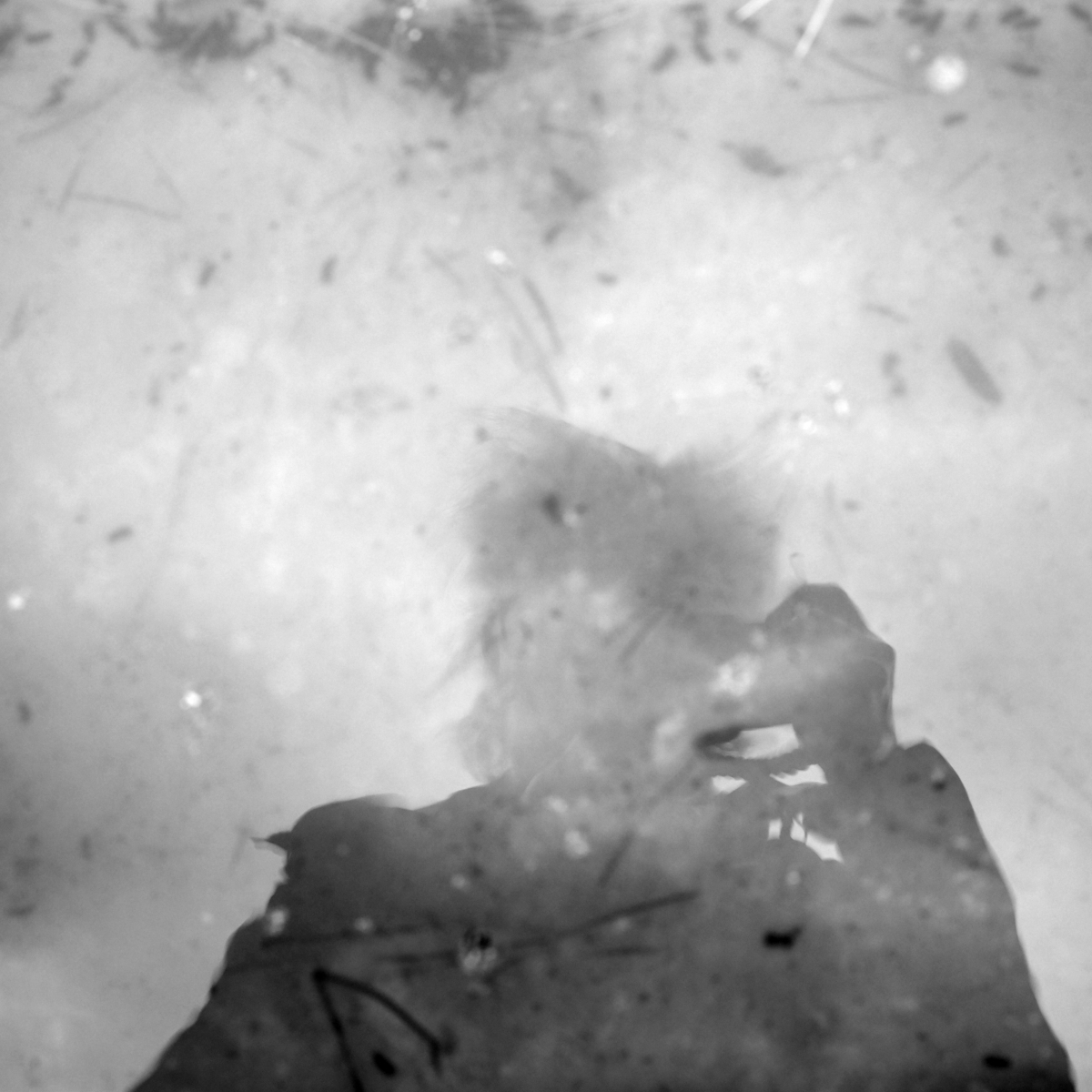 The Psychoanalytic Mirror of Fragmented Identity