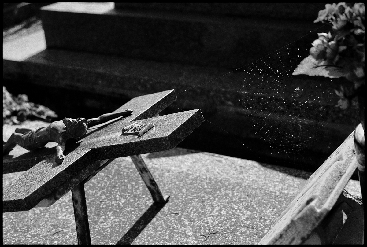 Still Lifes and Vanitas