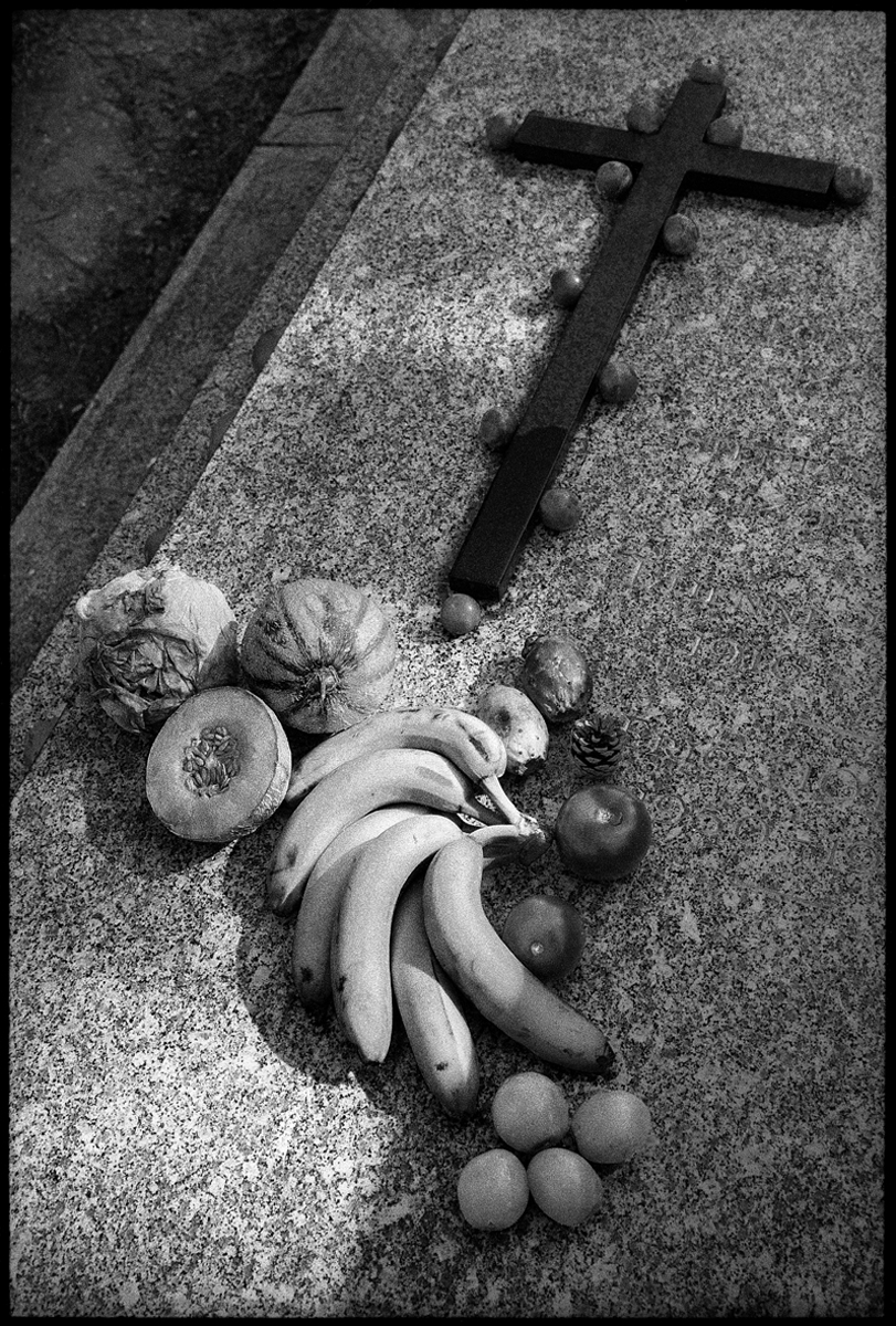 Still Lifes and Vanitas