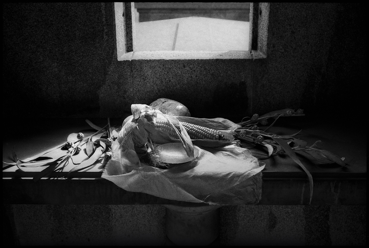 Still Lifes and Vanitas