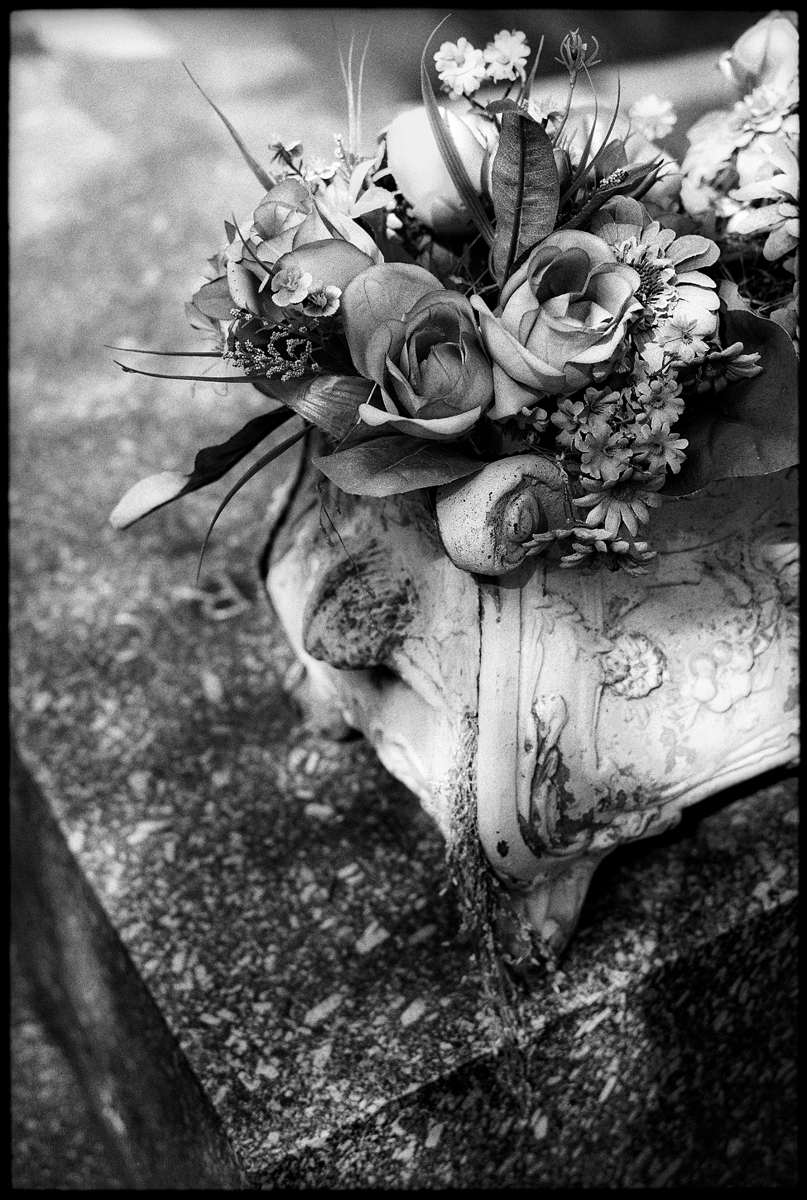 Still Lifes and Vanitas