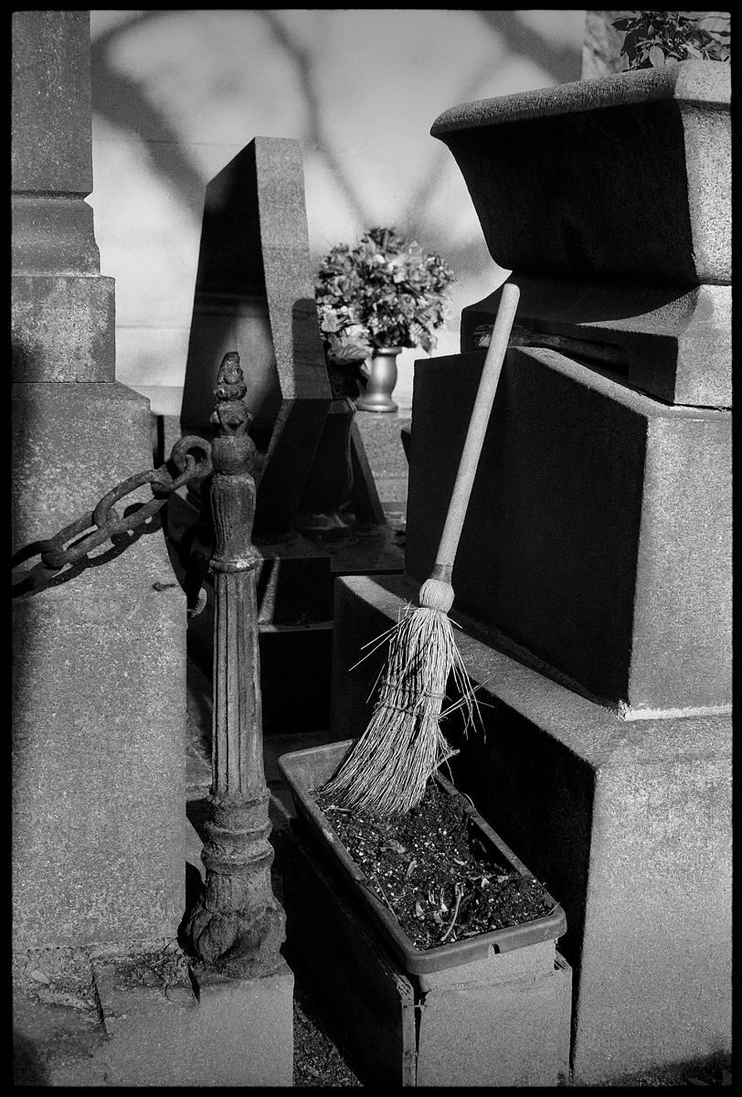 Still Lifes and Vanitas