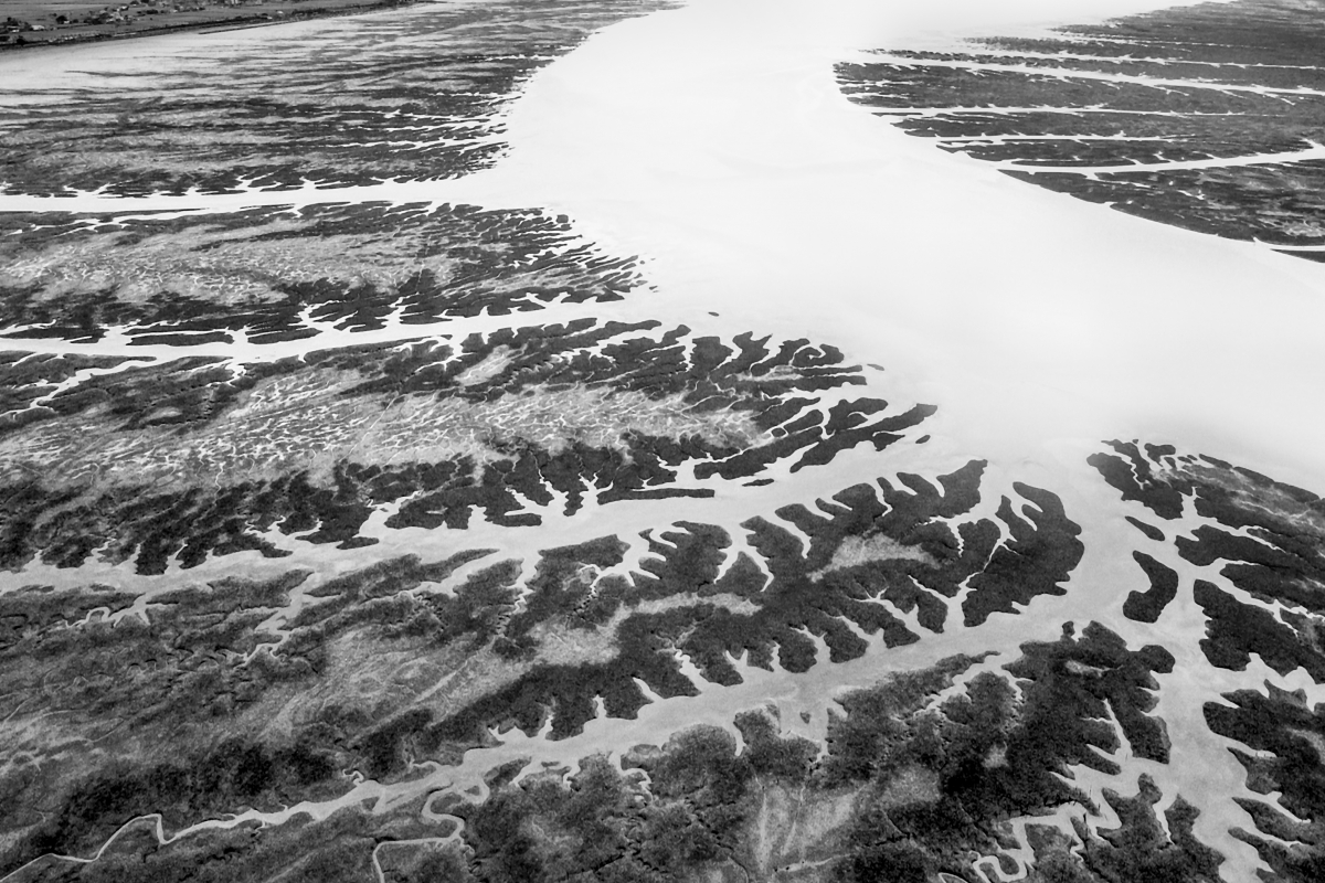 Tidal flat
