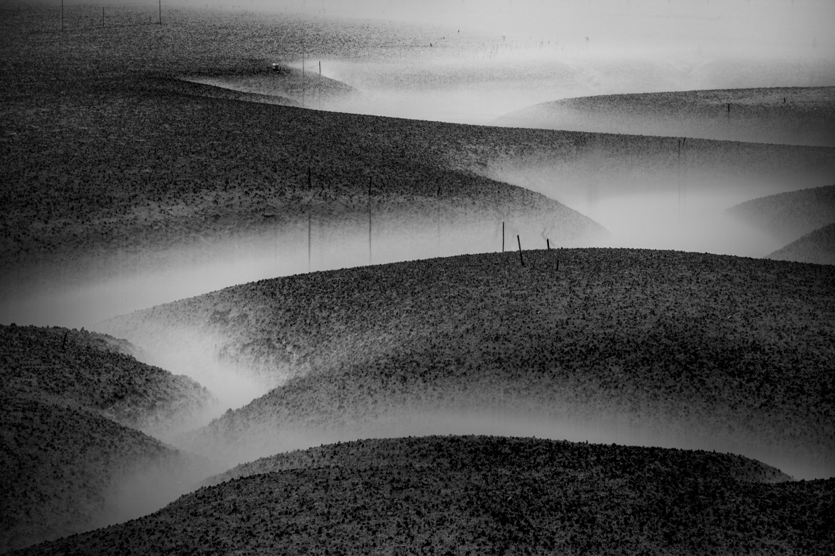 Tidal flat