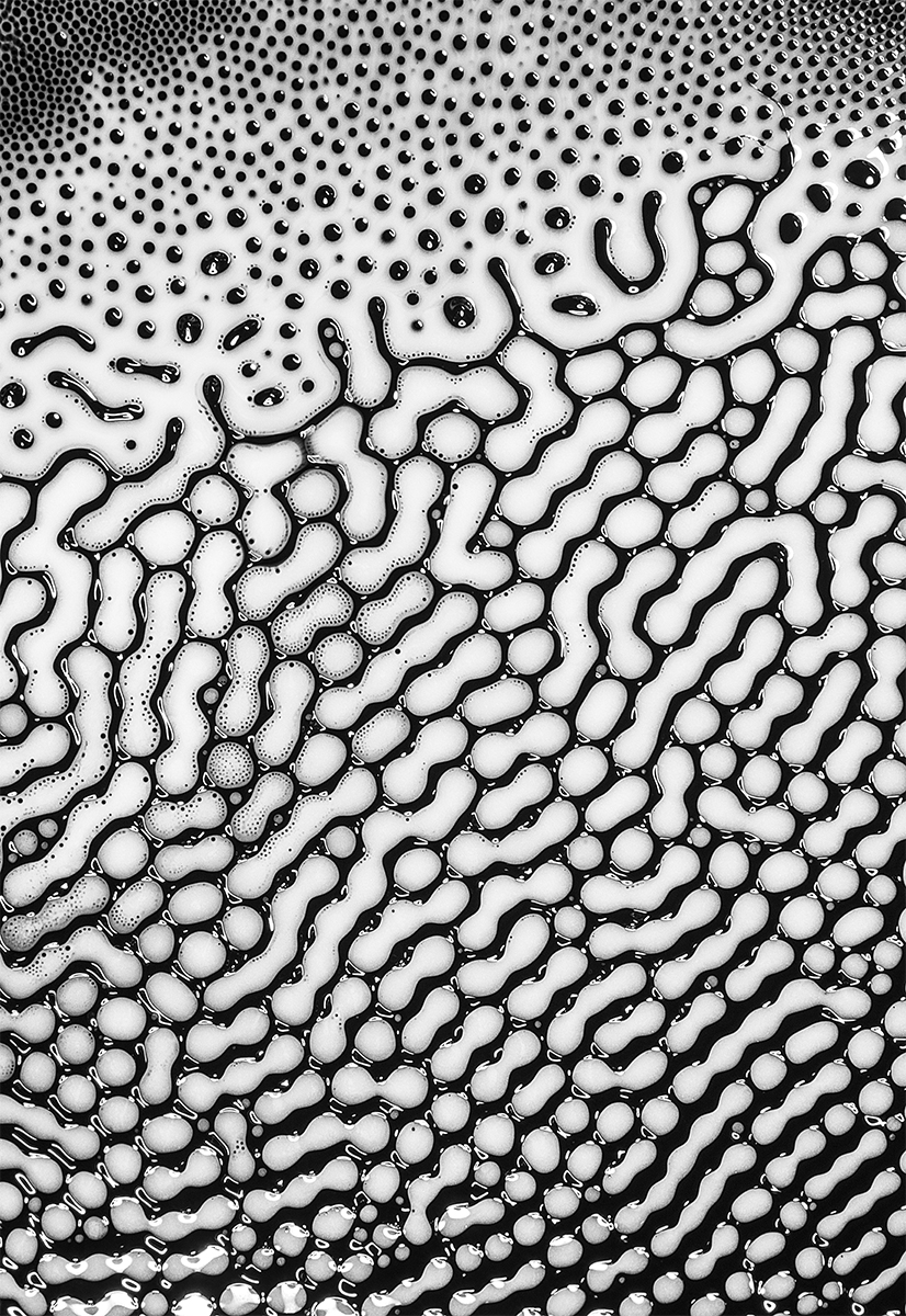 Magnetic Fluids