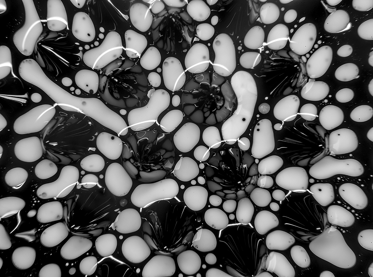 Magnetic Fluids