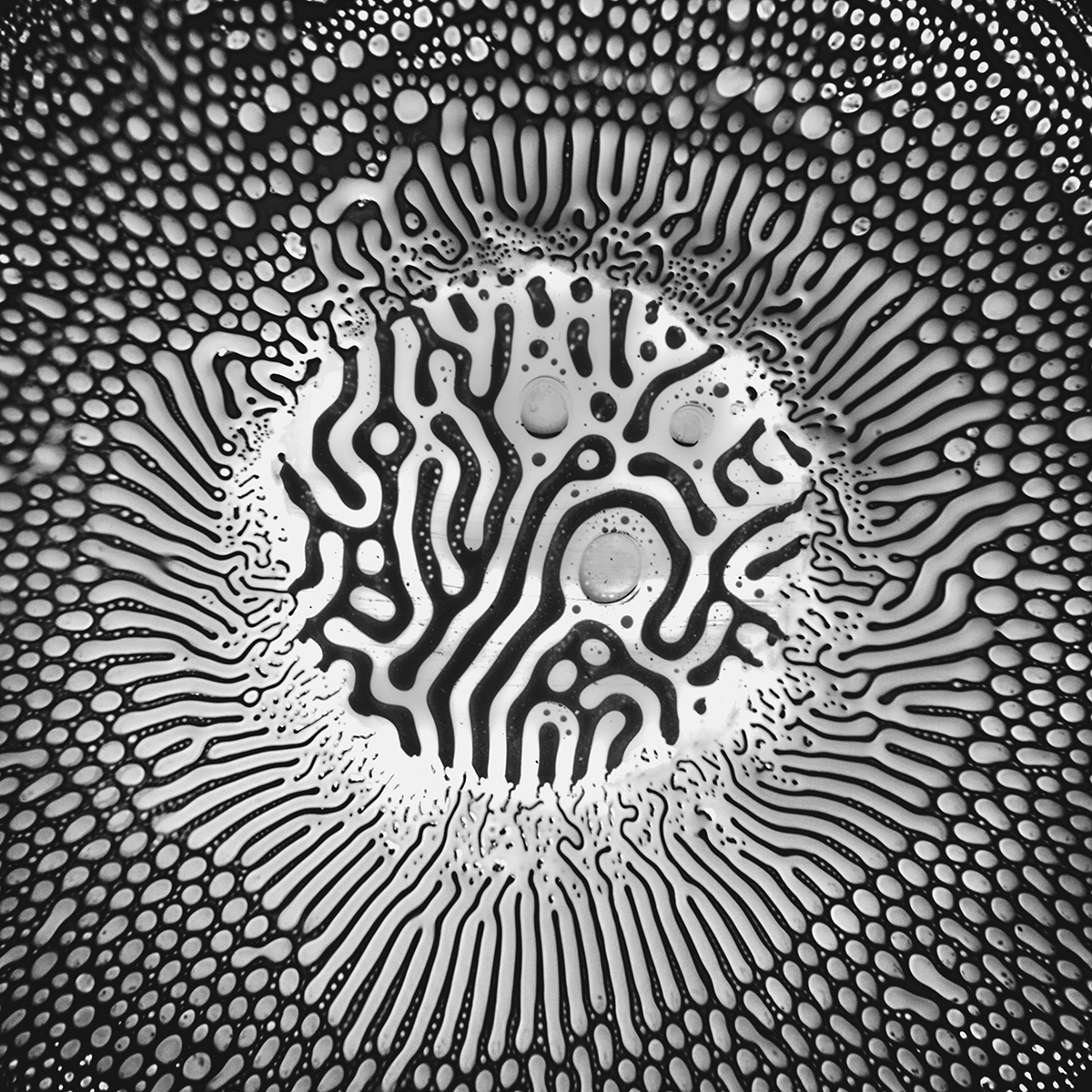 Magnetic Fluids
