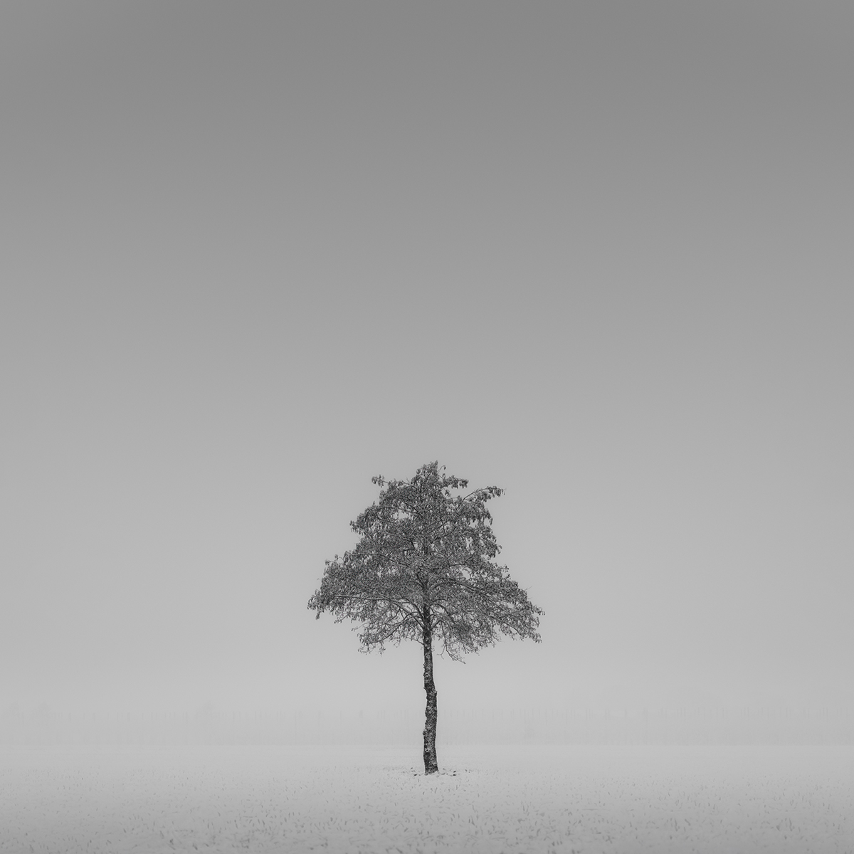 Blankness