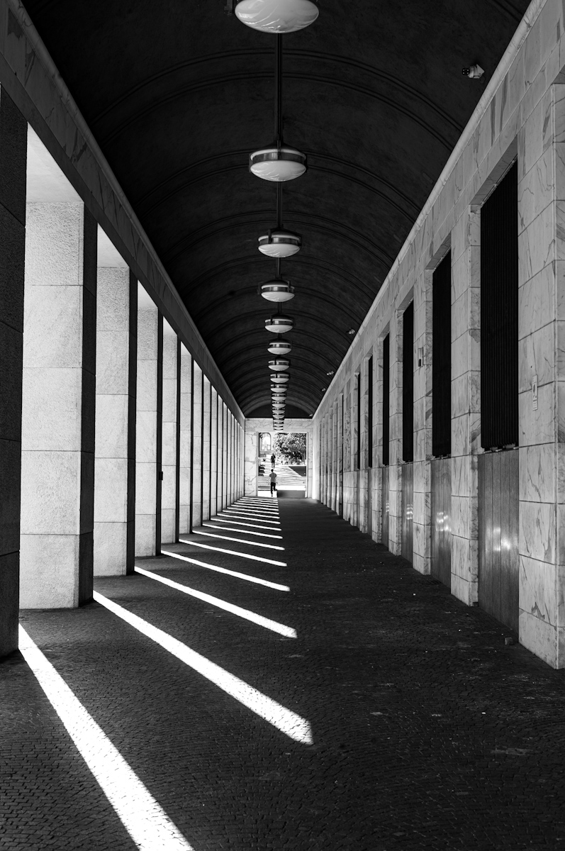 The Shapes and Perspectives of Rationalist Architecture 