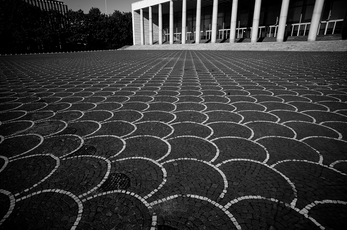 The Shapes and Perspectives of Rationalist Architecture 