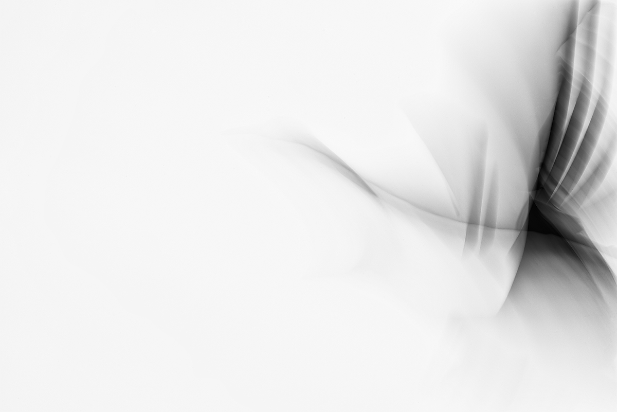 Embryonic Flight