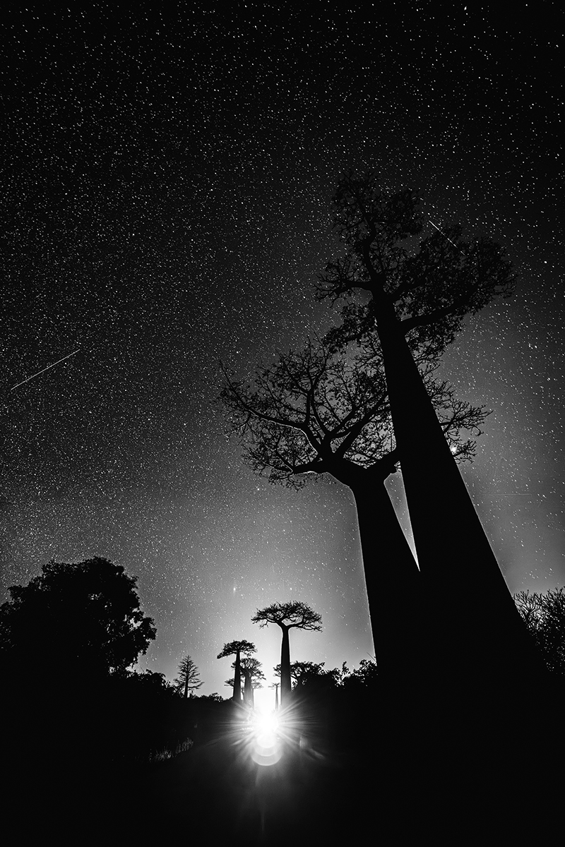 Morondava