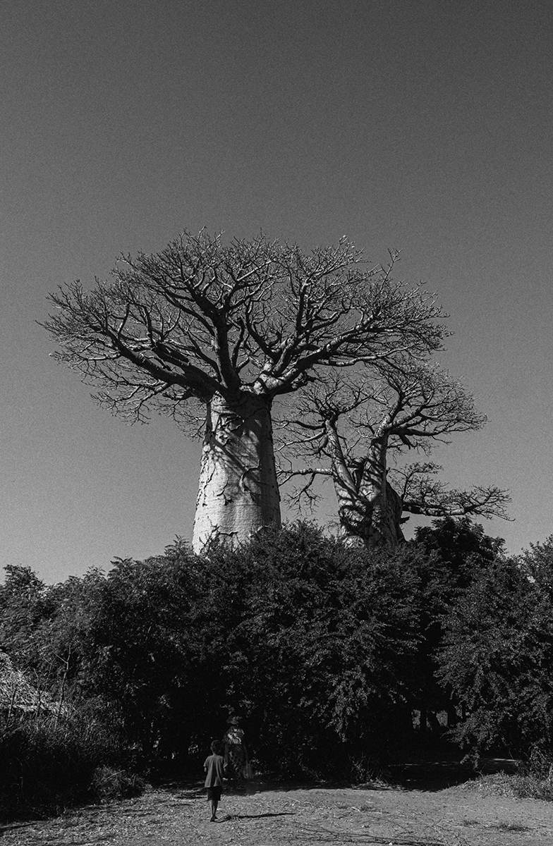 Morondava