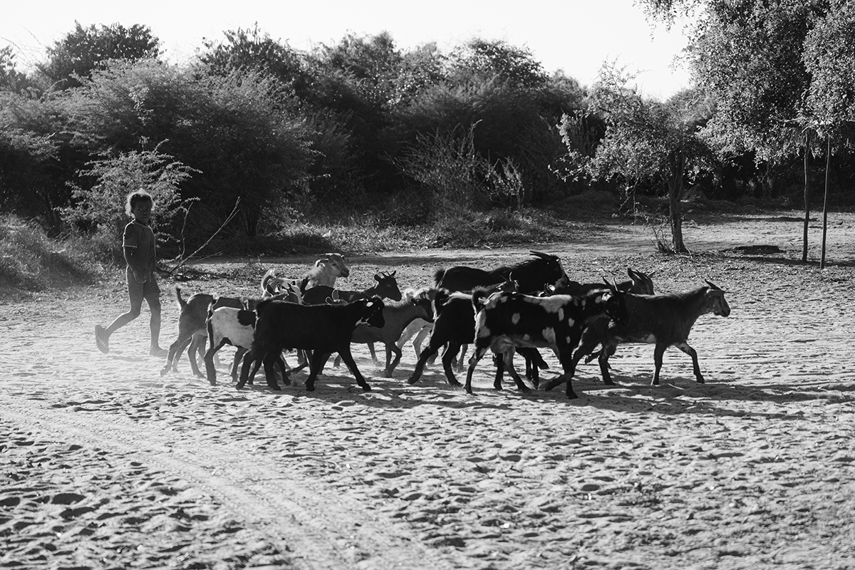 Morondava