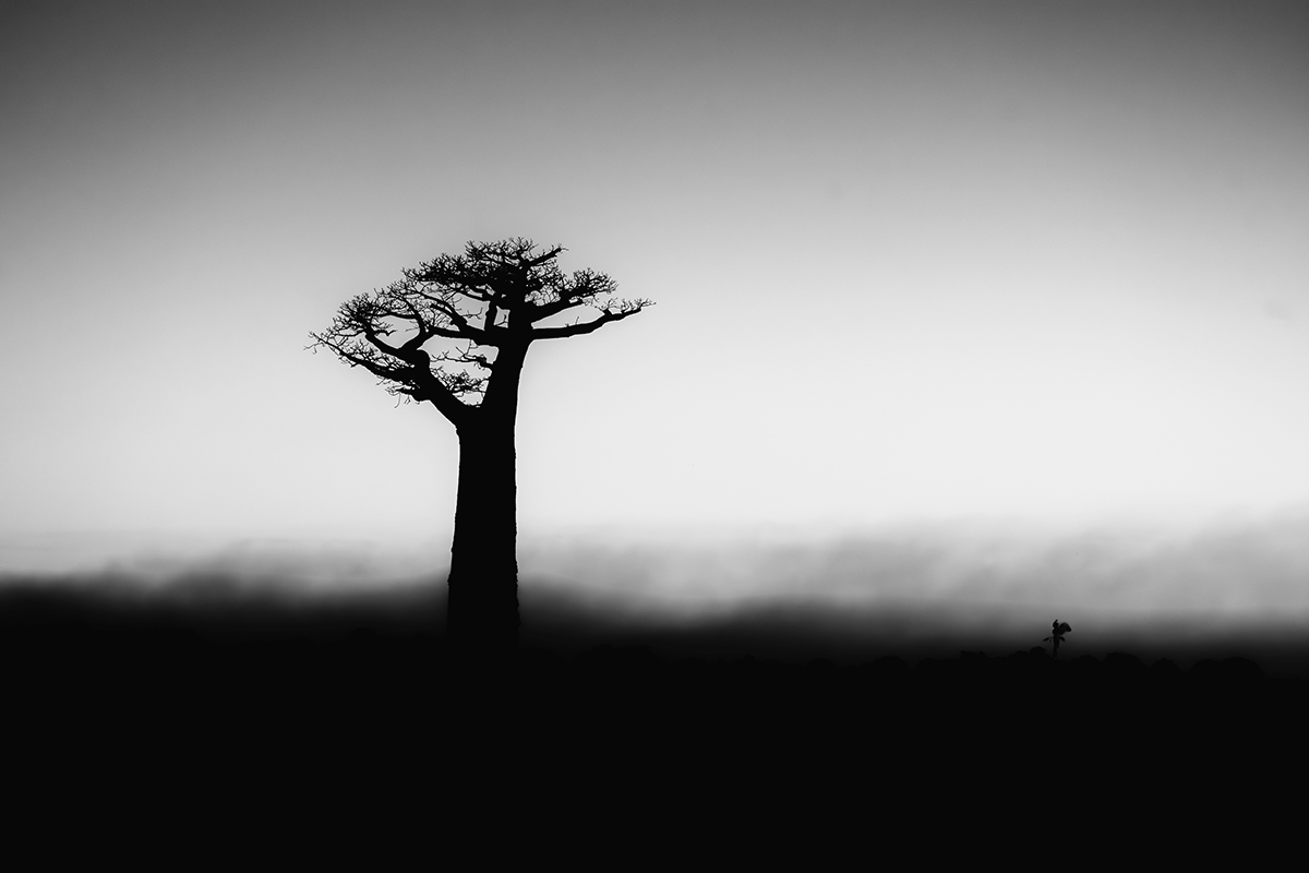 Morondava