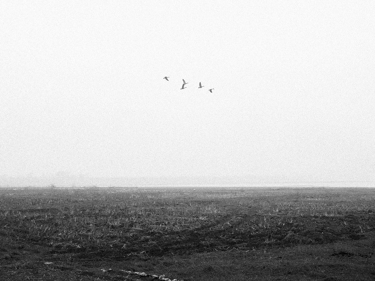 Fading into Noise