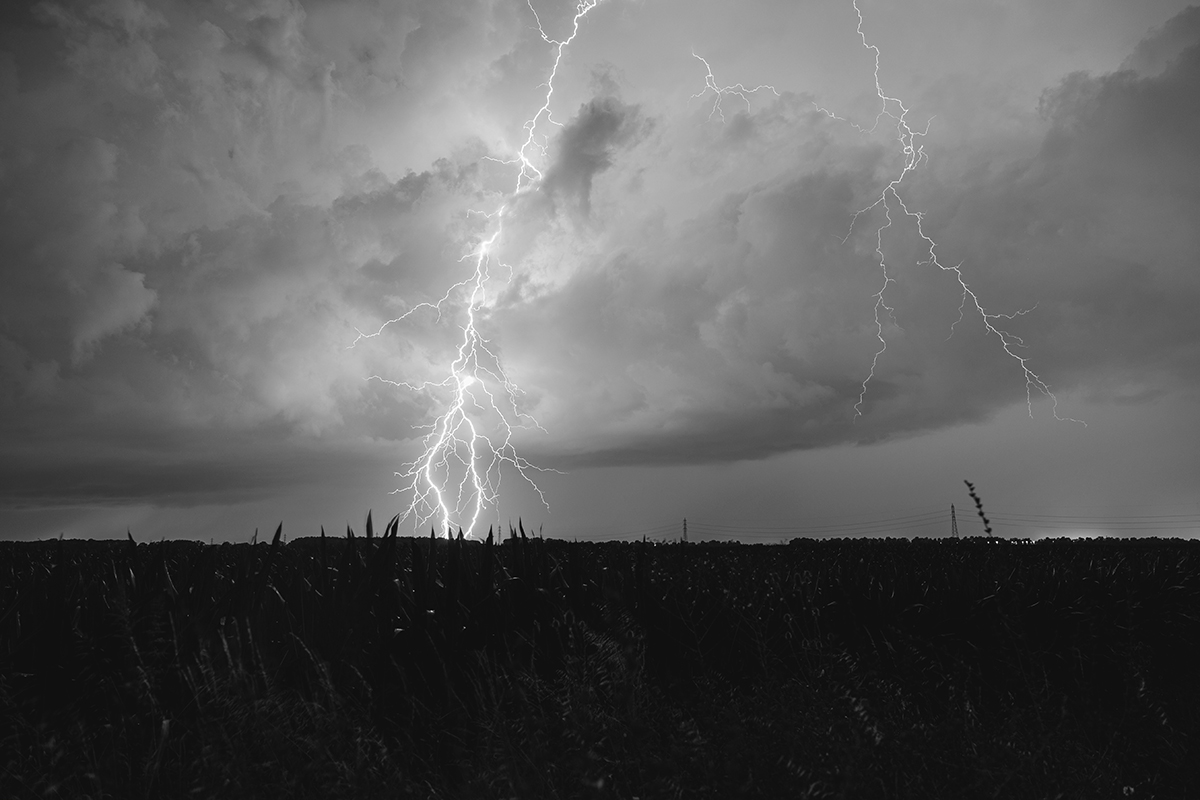Power of nature
