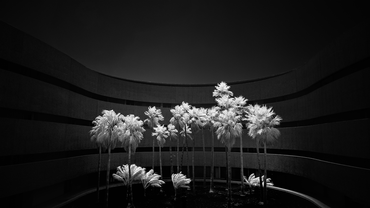 Faculty Of Fine Arts, Tenerife.