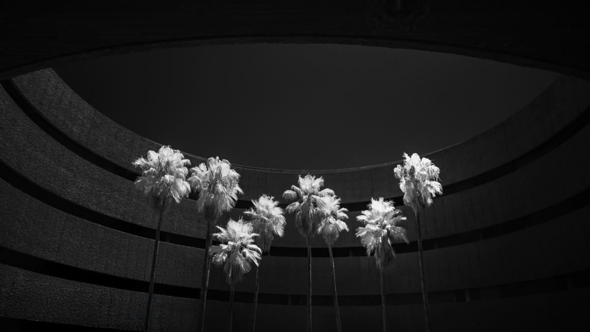 Faculty Of Fine Arts, Tenerife.