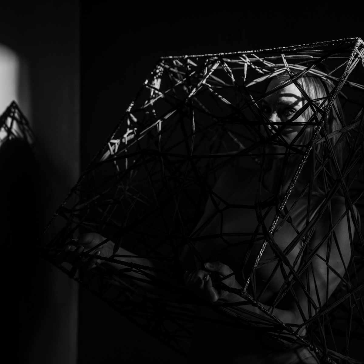 The Cage
