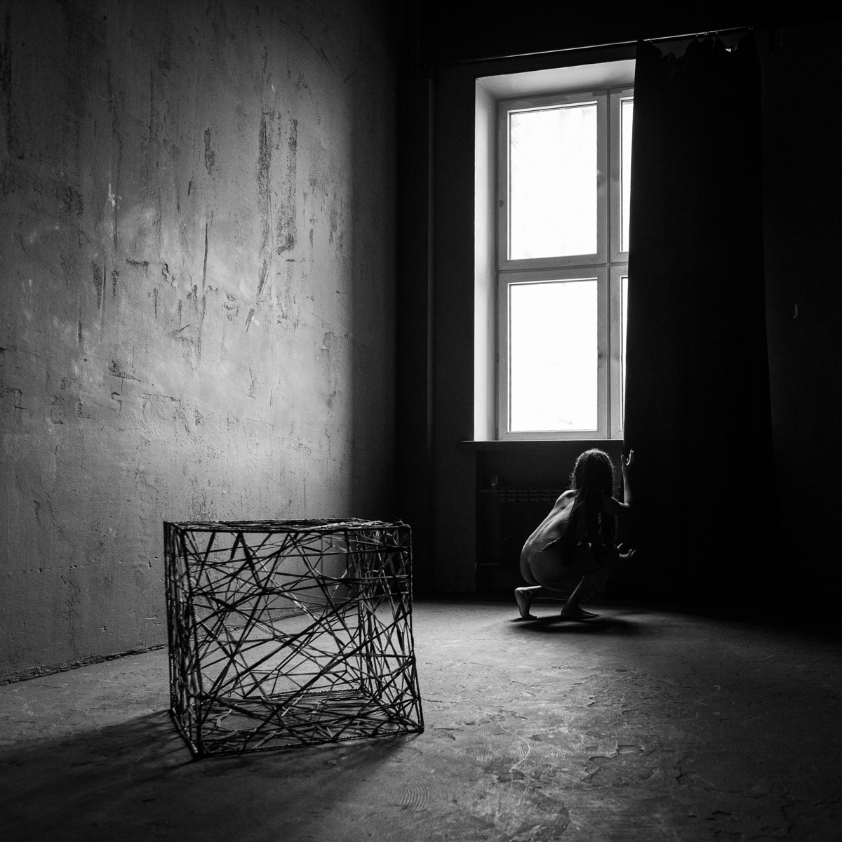 The Cage