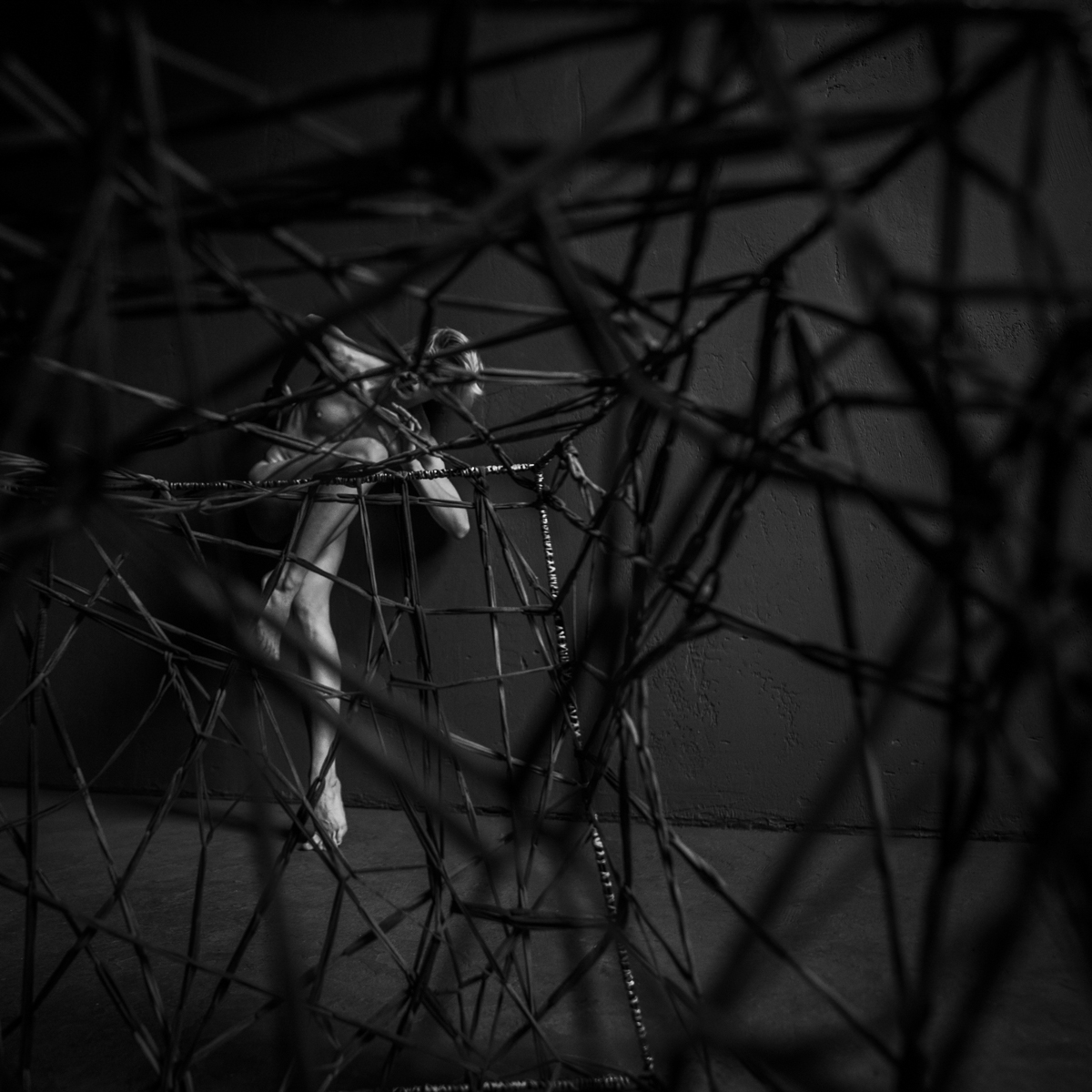 The Cage