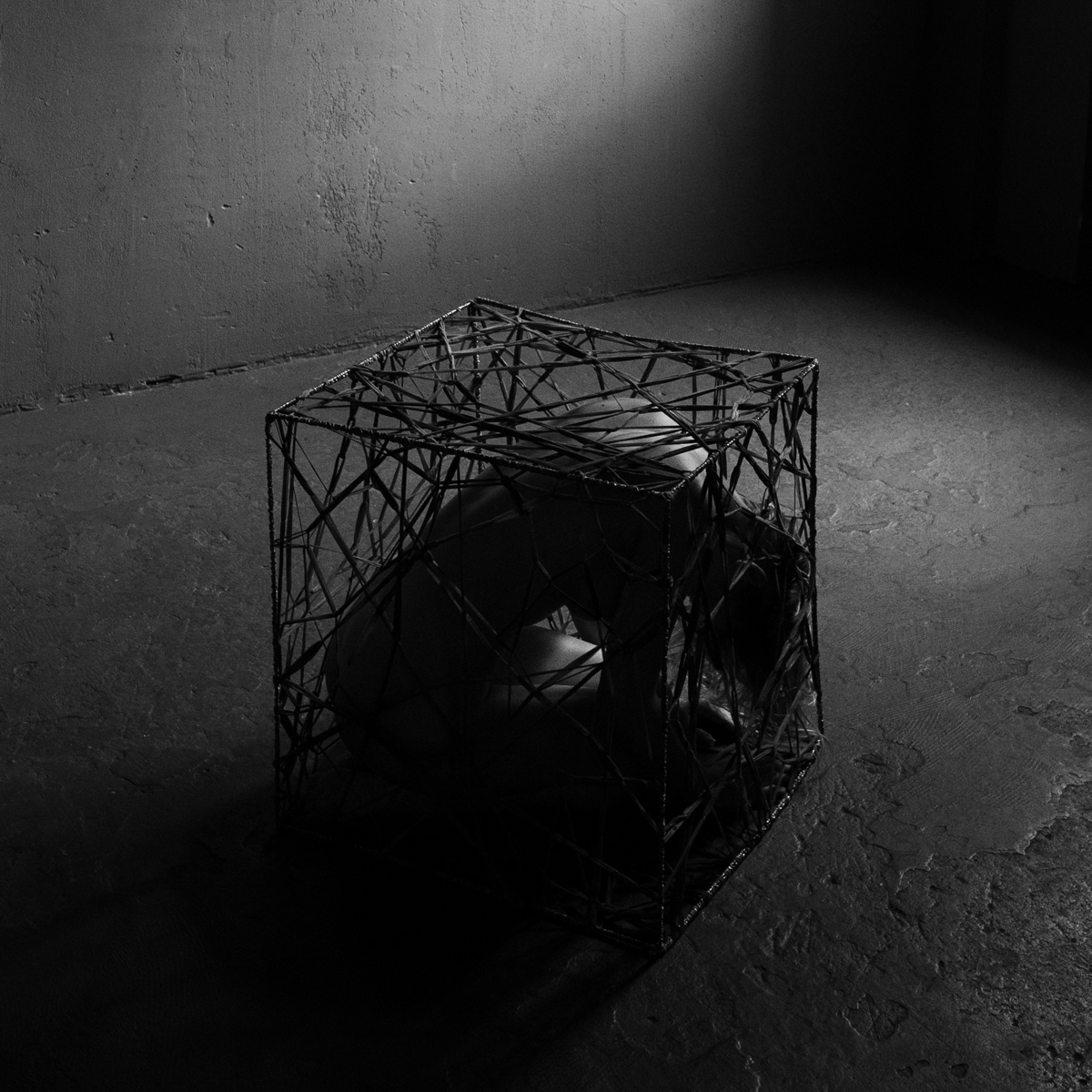The Cage