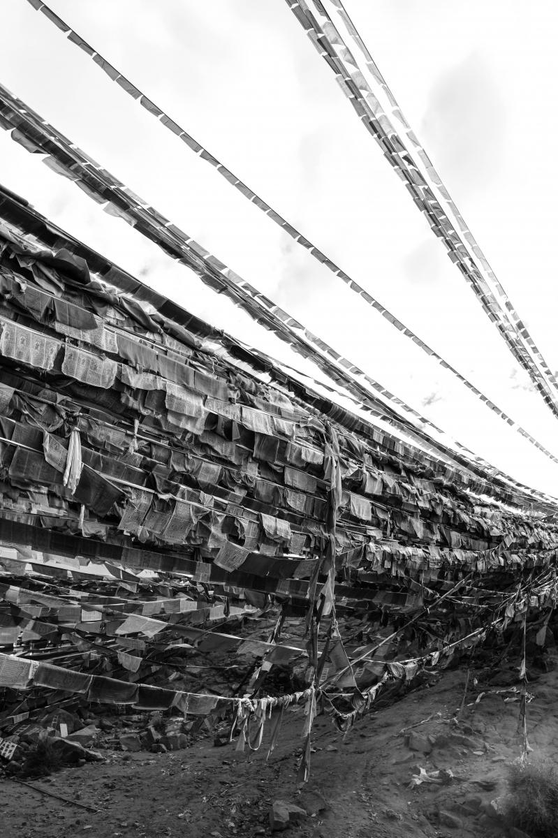 Tibetan Awakenings