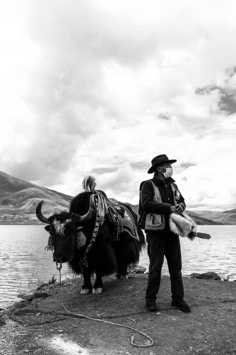 Tibetan Awakenings