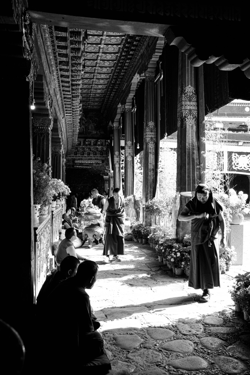 Tibetan Awakenings