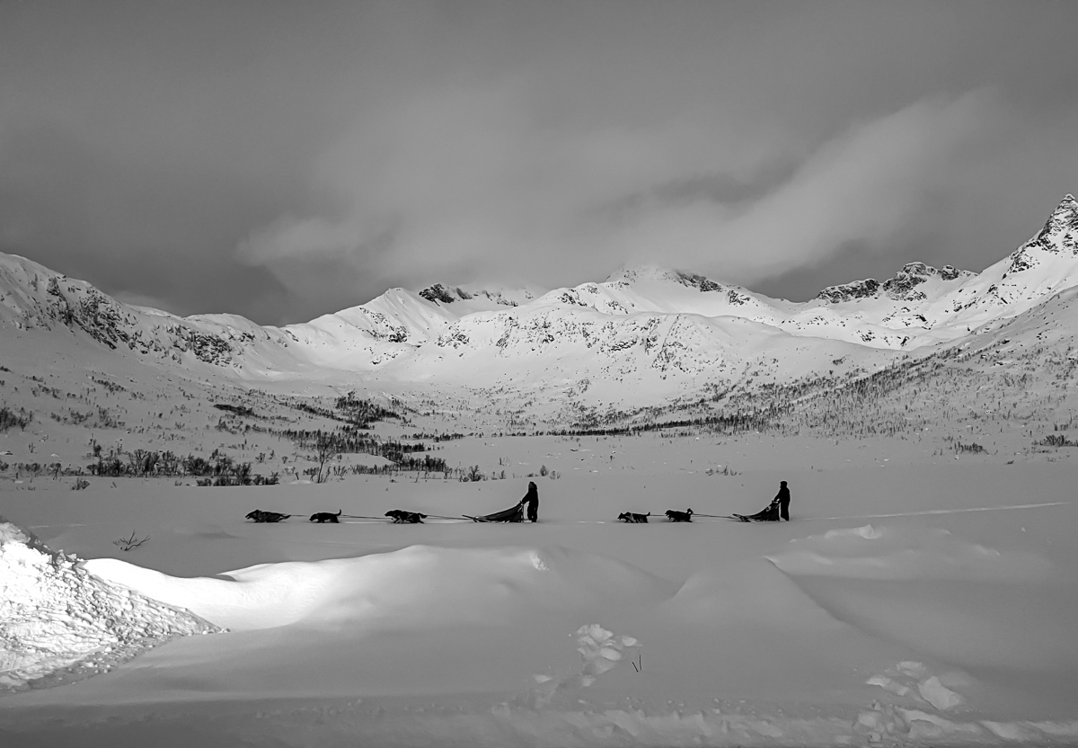 Winter Passage