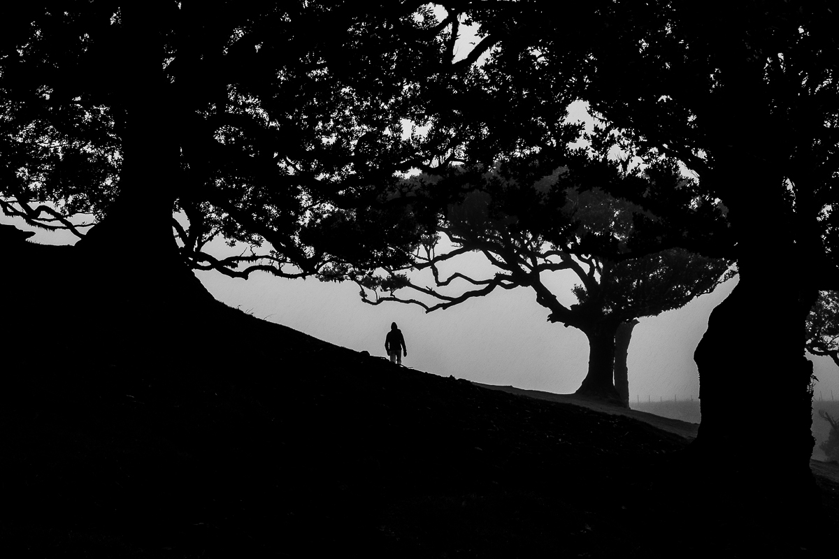Fantômes dans la brume