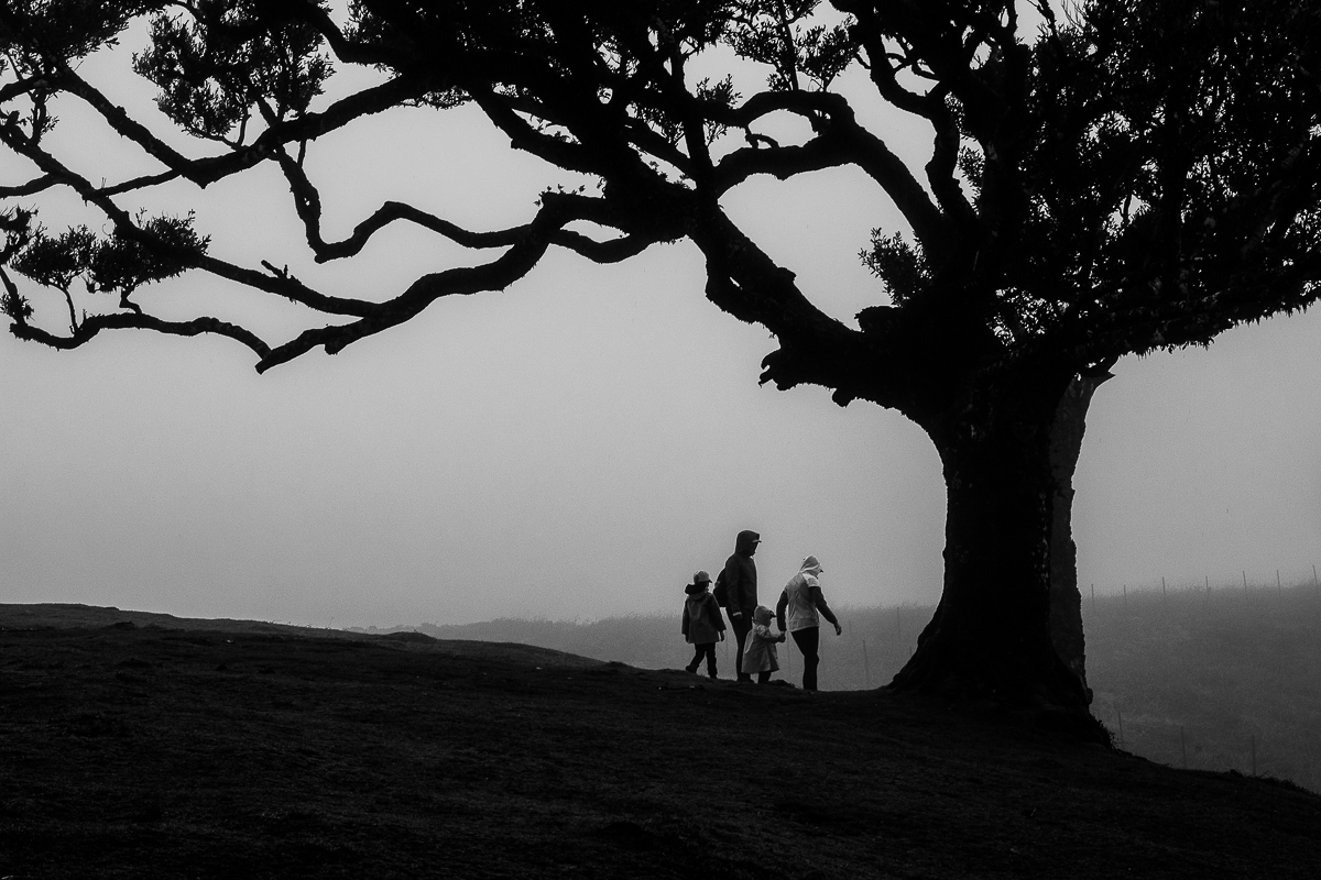 Fantômes dans la brume