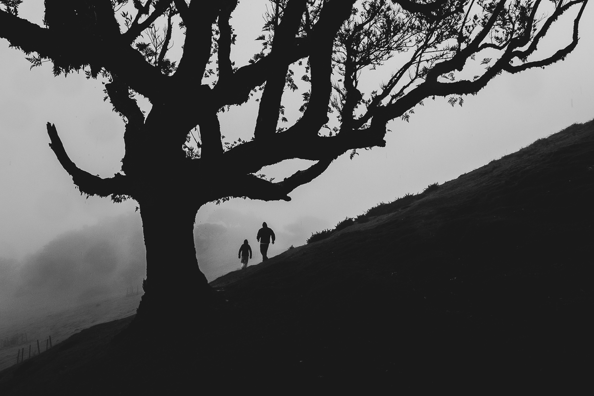 Fantômes dans la brume