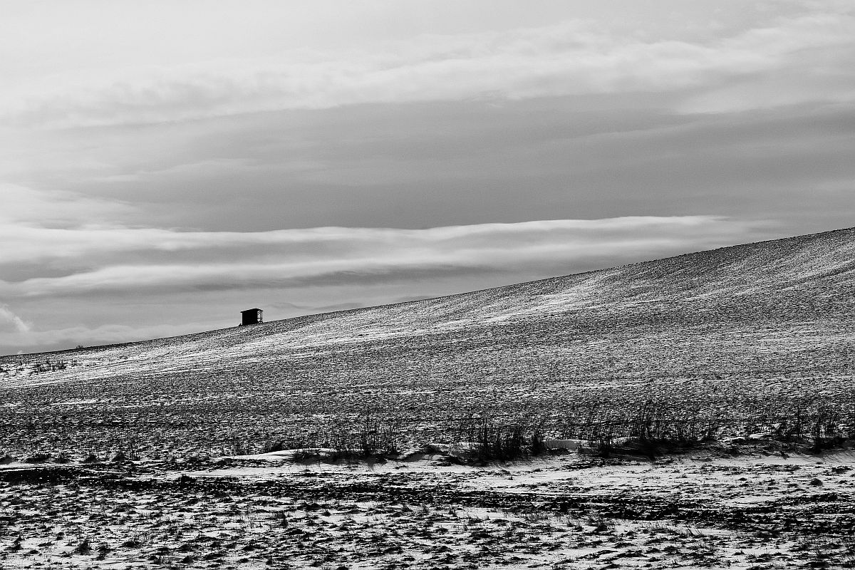 winter fields