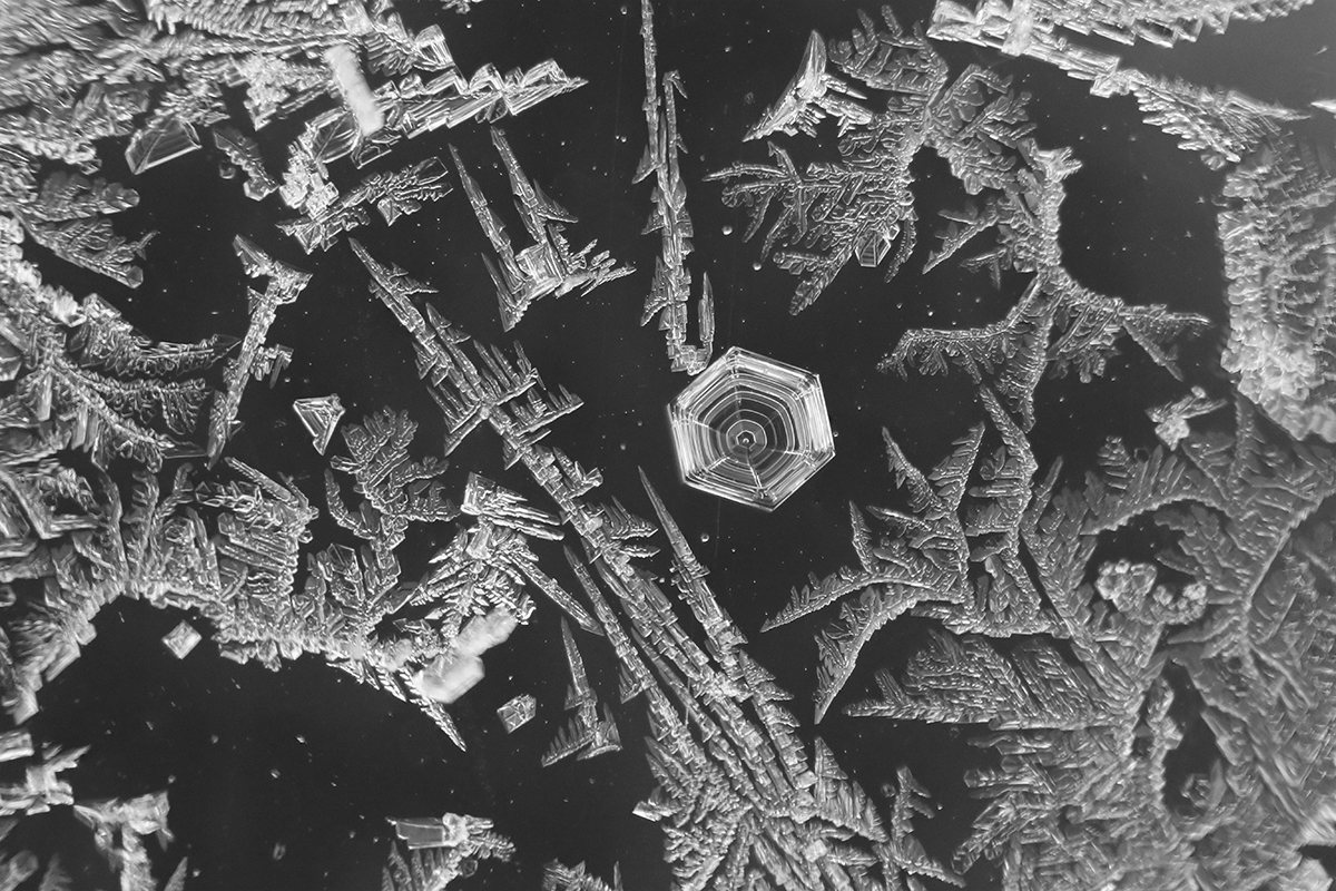 Frosty Trails