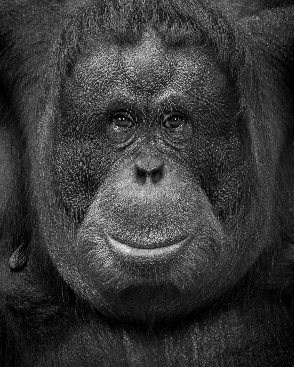 Expressions, in Monochrome