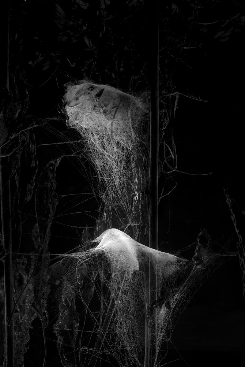 In Order Given: Shaping and Attrition