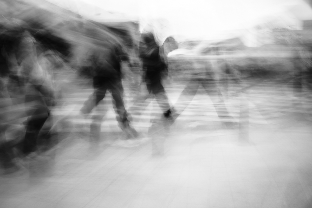 Vestige