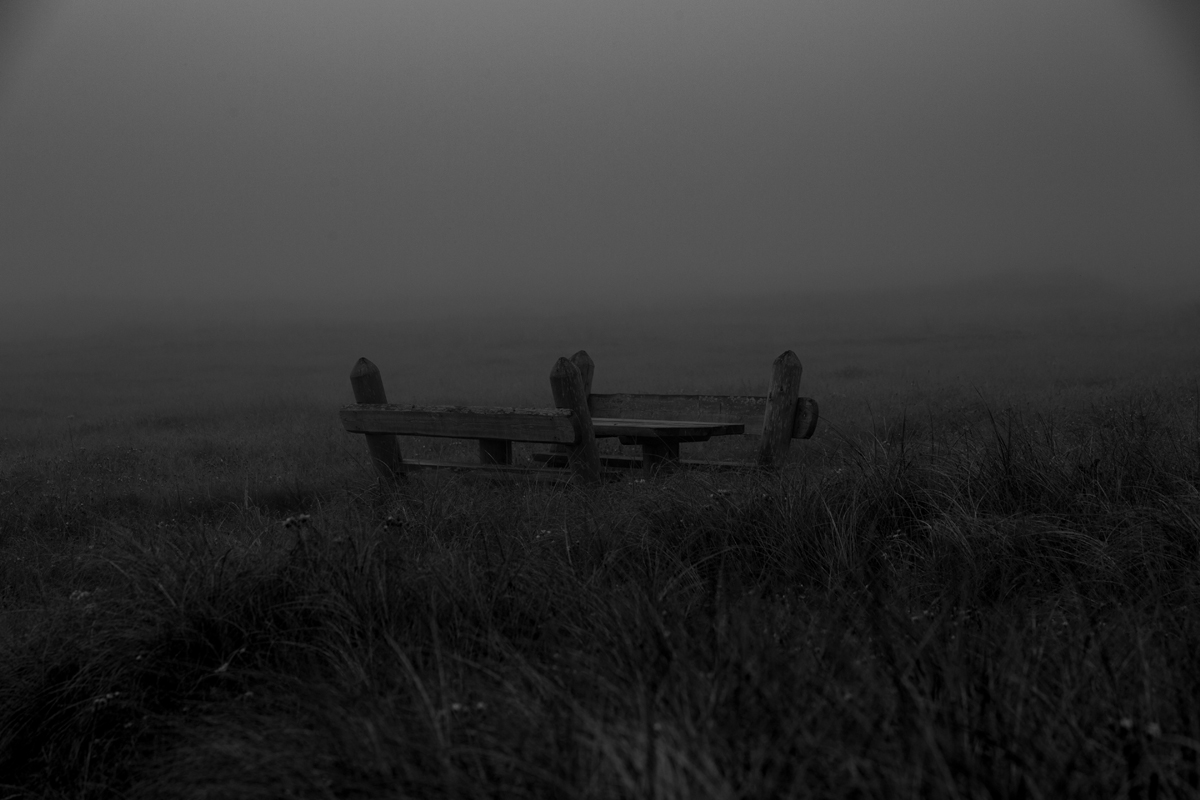 Where morning brings serenity