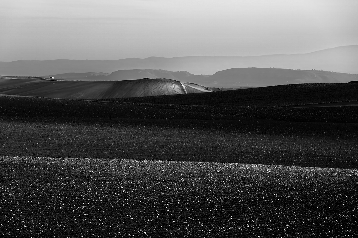 My land and my memories