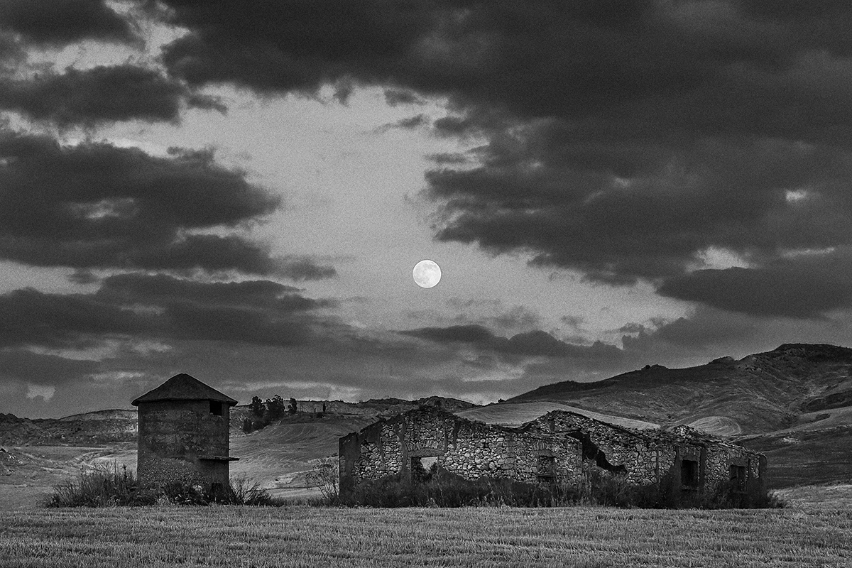 My land and my memories