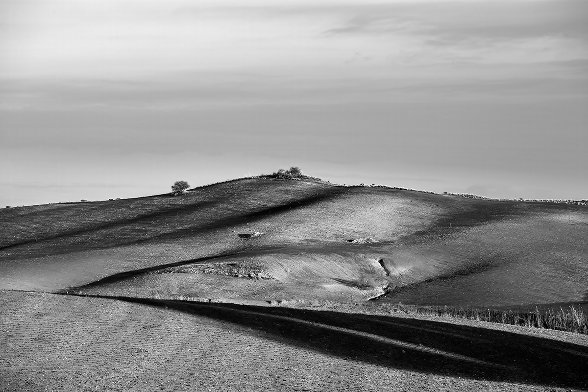 My land and my memories