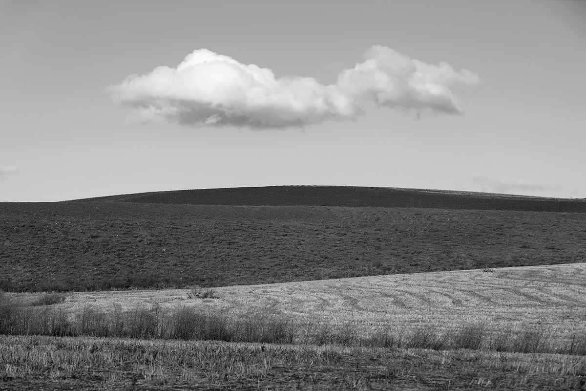 My land and my memories