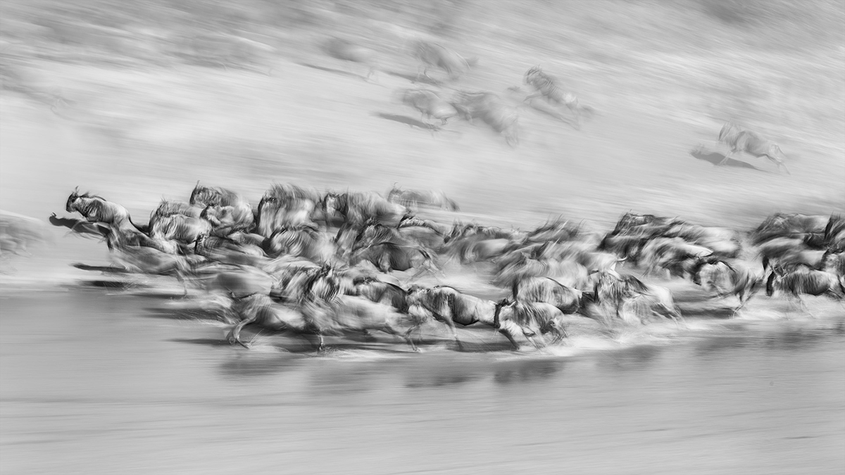 Galloping
