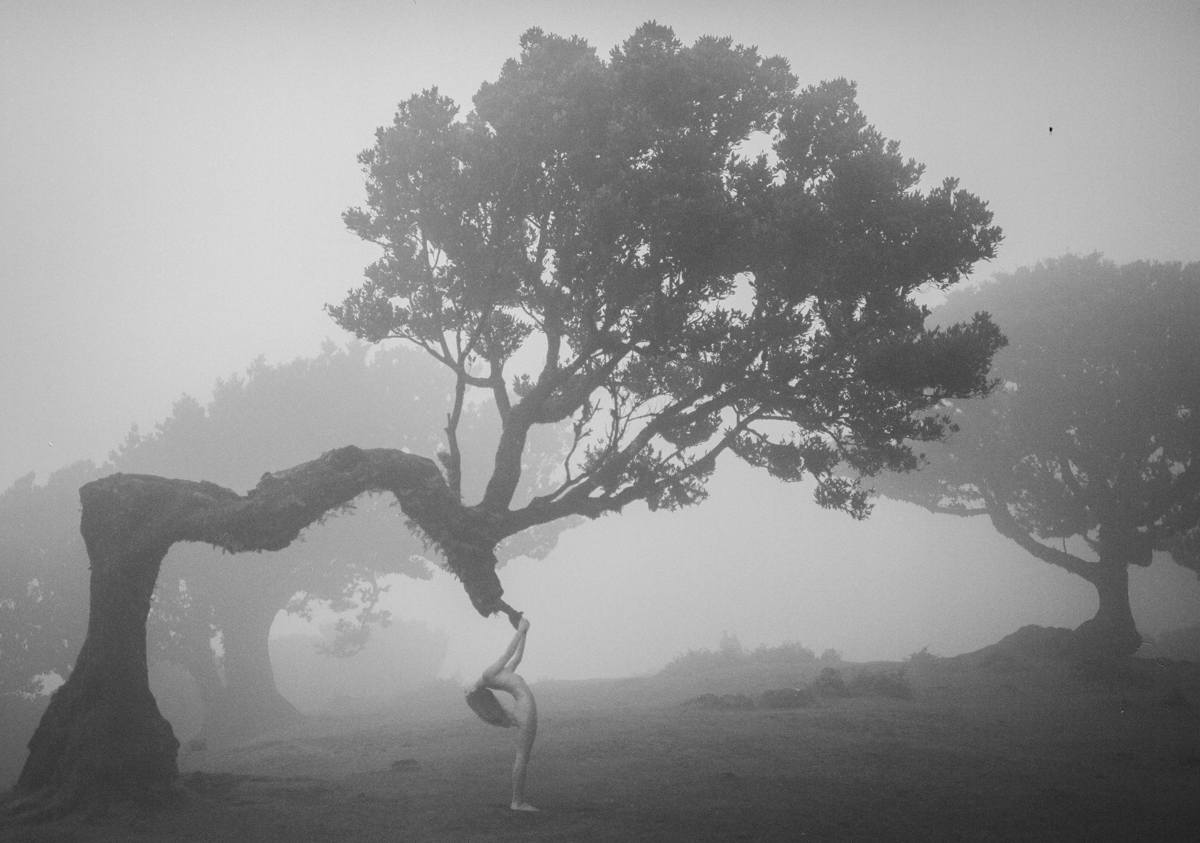 25/E/39 (Connected to Nature / Analog Photography)