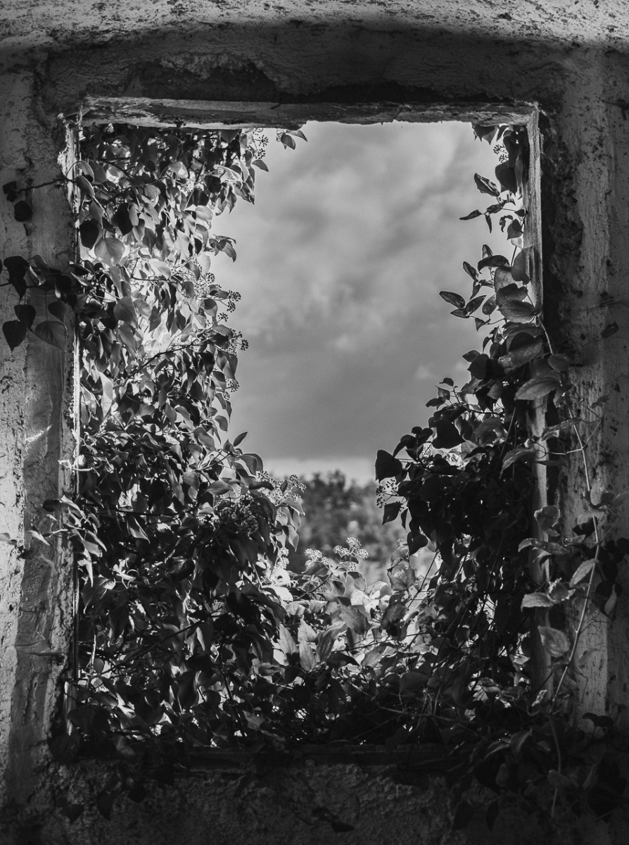 Holy Ruins