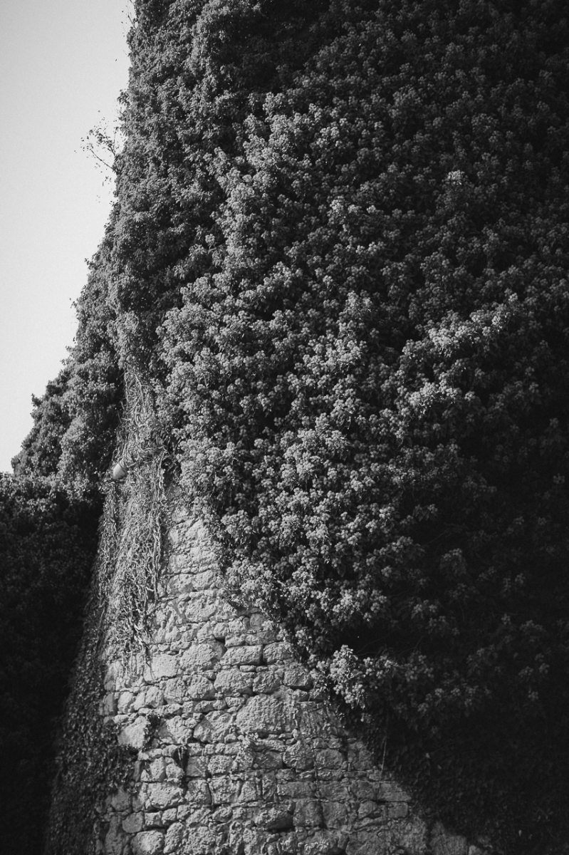 Holy Ruins